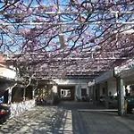 Konukevi Meuble Andrea Doria 3*